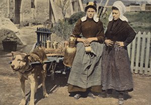 アントワープの牛乳商人 作： European Photographer